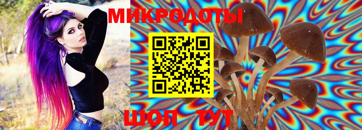 Галлюциногенные грибы Cubensis  Вход с VPN  Камень-на-Оби  Псилоцибиновые грибы GOLDEN TEACHER 