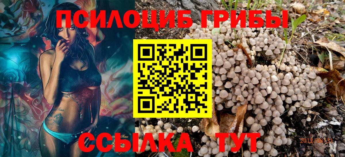 Галлюциногенные грибы GOLDEN TEACHER Камень-на-Оби